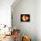 4fz3 Electron Orbital-Laguna Design-Photographic Print displayed on a wall