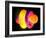 4fz3 Electron Orbital-Laguna Design-Framed Photographic Print