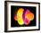 4fz3 Electron Orbital-Laguna Design-Framed Photographic Print