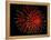 4th of July Fireworks-Magrath Photography-Framed Premier Image Canvas