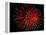 4th of July Fireworks-Magrath Photography-Framed Premier Image Canvas