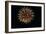 4th of July Fireworks-Magrath Photography-Framed Photographic Print