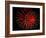 4th of July Fireworks-Magrath Photography-Framed Photographic Print