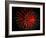 4th of July Fireworks-Magrath Photography-Framed Photographic Print