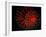 4th of July Fireworks-Magrath Photography-Framed Photographic Print