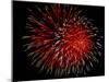 4th of July Fireworks-Magrath Photography-Mounted Photographic Print