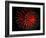 4th of July Fireworks-Magrath Photography-Framed Photographic Print