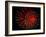 4th of July Fireworks-Magrath Photography-Framed Photographic Print