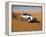 4X4 Dune-Bashing, Dubai, United Arab Emirates, Middle East-Gavin Hellier-Framed Premier Image Canvas