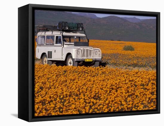 4X4 in Meadow of Daisies, South Africa-Theo Allofs-Framed Premier Image Canvas