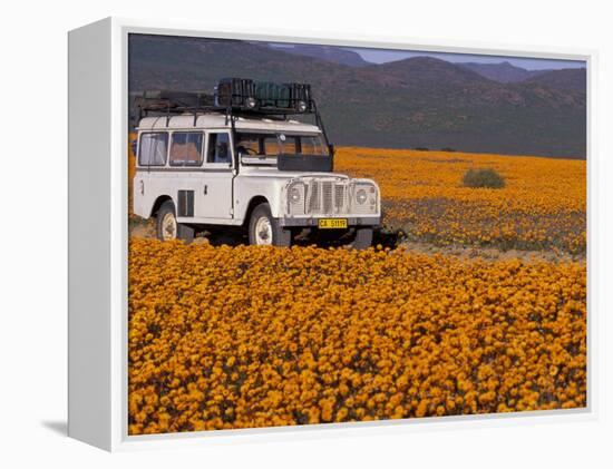 4X4 in Meadow of Daisies, South Africa-Theo Allofs-Framed Premier Image Canvas