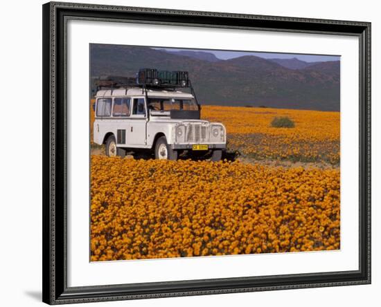 4X4 in Meadow of Daisies, South Africa-Theo Allofs-Framed Photographic Print