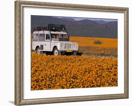 4X4 in Meadow of Daisies, South Africa-Theo Allofs-Framed Photographic Print