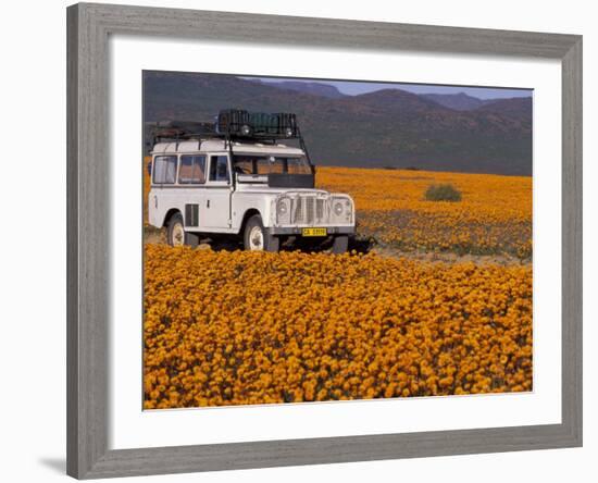 4X4 in Meadow of Daisies, South Africa-Theo Allofs-Framed Photographic Print