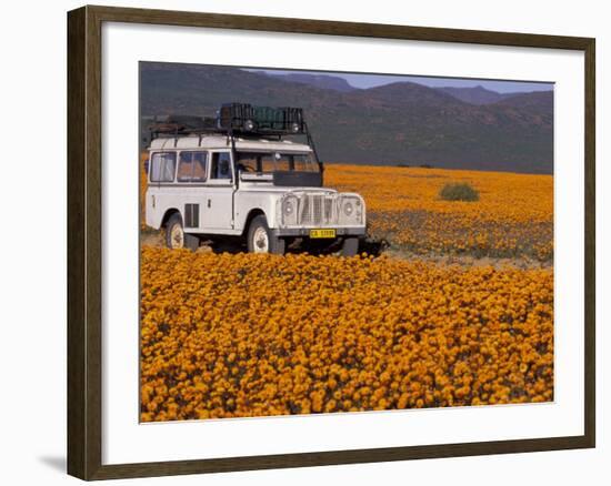 4X4 in Meadow of Daisies, South Africa-Theo Allofs-Framed Photographic Print