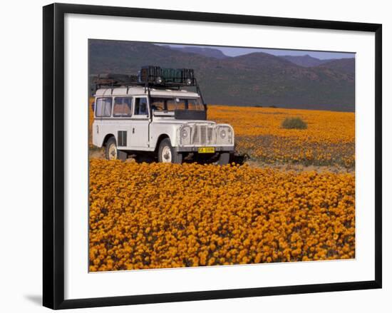 4X4 in Meadow of Daisies, South Africa-Theo Allofs-Framed Photographic Print