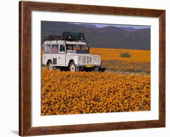 4X4 in Meadow of Daisies, South Africa-Theo Allofs-Framed Photographic Print