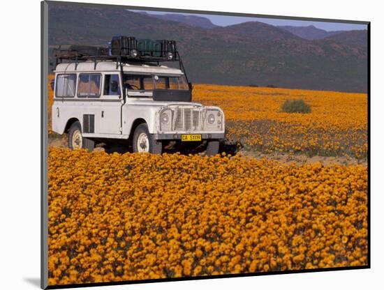 4X4 in Meadow of Daisies, South Africa-Theo Allofs-Mounted Photographic Print