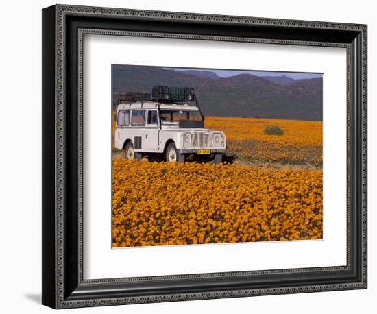 4X4 in Meadow of Daisies, South Africa-Theo Allofs-Framed Photographic Print