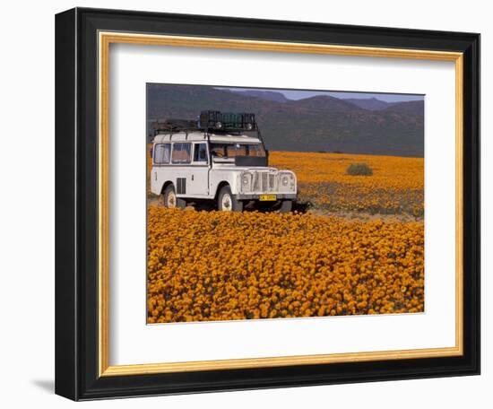 4X4 in Meadow of Daisies, South Africa-Theo Allofs-Framed Photographic Print