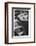 5 at Rest-Laura Denardo-Framed Photographic Print