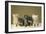 5 Kittens Sitting Together in a Row-null-Framed Photographic Print