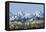 5 Peaks-HR-FM-Framed Stretched Canvas