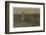 5 Year Old Willie Hesse Picks 15 Pounds of Cotton a Day on His Parents' 80 Acre Farm Near West-Lewis Wickes Hine-Framed Photographic Print