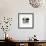 50 NYC Photographers-Andre Kertesz-Framed Collectable Print displayed on a wall