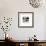 50 NYC Photographers-Andre Kertesz-Framed Collectable Print displayed on a wall