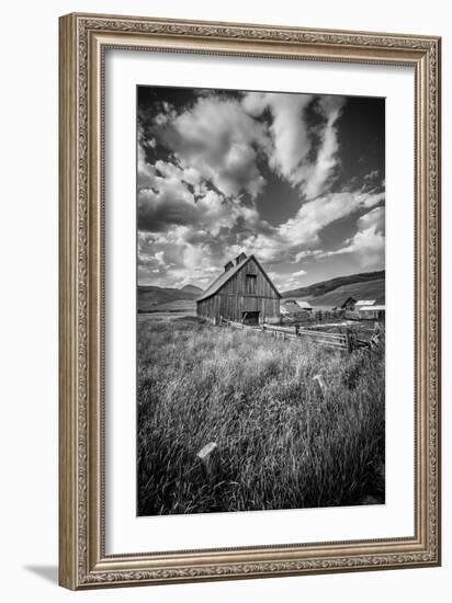 503-Dan Ballard-Framed Photographic Print