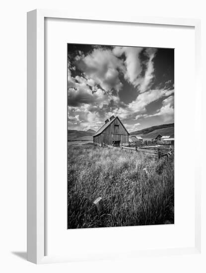 503-Dan Ballard-Framed Photographic Print