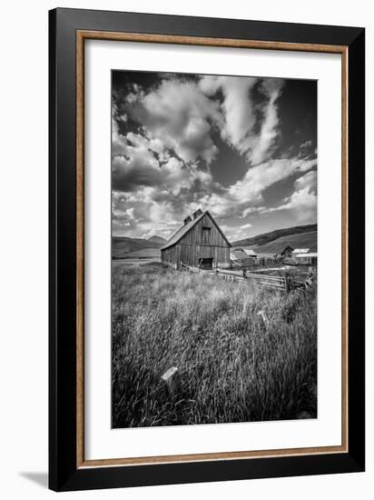 503-Dan Ballard-Framed Photographic Print