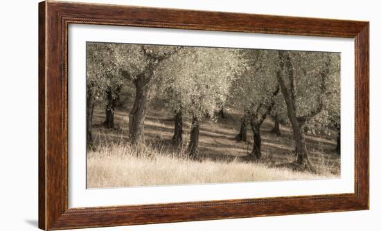 504-Dan Ballard-Framed Photographic Print