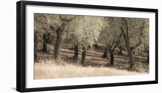 504-Dan Ballard-Framed Photographic Print