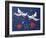 50CO-Pierre Henri Matisse-Framed Giclee Print