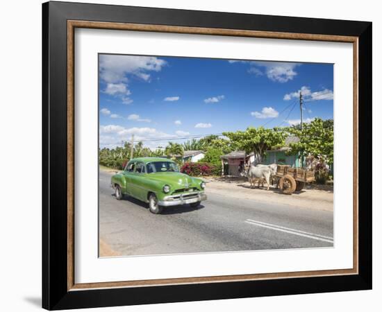 50s American Car Passing Ox and Cart, Pinar Del Rio Province, Cuba-Jon Arnold-Framed Photographic Print