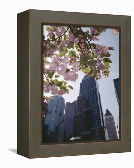 50th Street Looking West to 7th Avenue, New York City, New York-Adam Woolfitt-Framed Premier Image Canvas