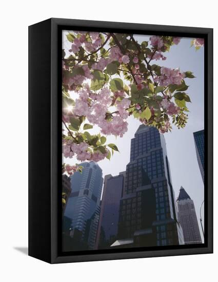 50th Street Looking West to 7th Avenue, New York City, New York-Adam Woolfitt-Framed Premier Image Canvas