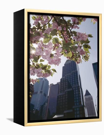 50th Street Looking West to 7th Avenue, New York City, New York-Adam Woolfitt-Framed Premier Image Canvas