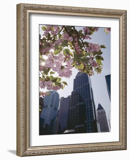 50th Street Looking West to 7th Avenue, New York City, New York-Adam Woolfitt-Framed Photographic Print