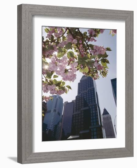 50th Street Looking West to 7th Avenue, New York City, New York-Adam Woolfitt-Framed Photographic Print