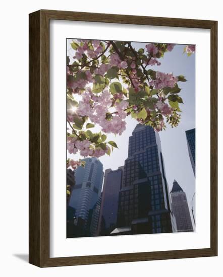 50th Street Looking West to 7th Avenue, New York City, New York-Adam Woolfitt-Framed Photographic Print