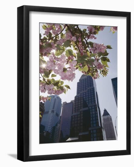 50th Street Looking West to 7th Avenue, New York City, New York-Adam Woolfitt-Framed Photographic Print