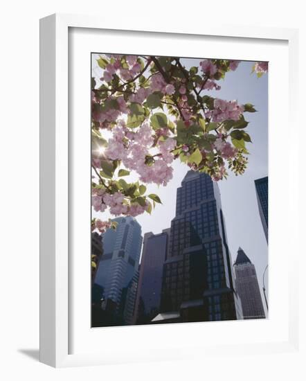 50th Street Looking West to 7th Avenue, New York City, New York-Adam Woolfitt-Framed Photographic Print