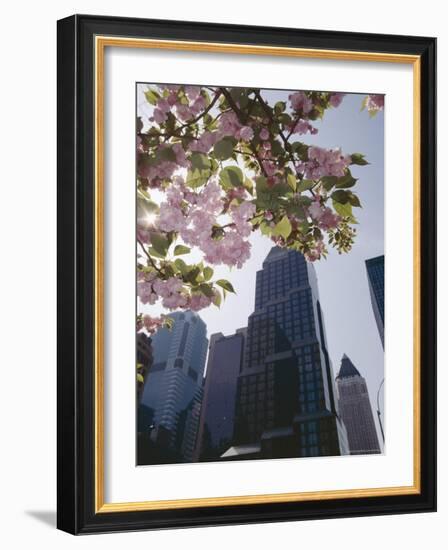 50th Street Looking West to 7th Avenue, New York City, New York-Adam Woolfitt-Framed Photographic Print