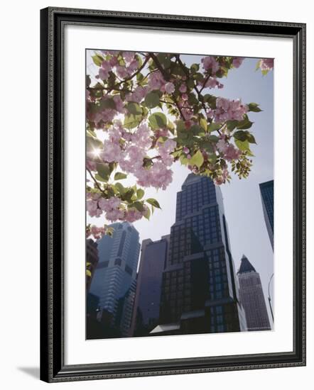 50th Street Looking West to 7th Avenue, New York City, New York-Adam Woolfitt-Framed Photographic Print