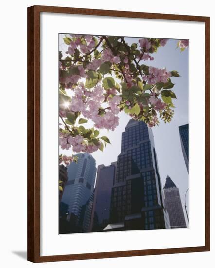50th Street Looking West to 7th Avenue, New York City, New York-Adam Woolfitt-Framed Photographic Print