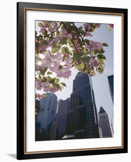 50th Street Looking West to 7th Avenue, New York City, New York-Adam Woolfitt-Framed Photographic Print