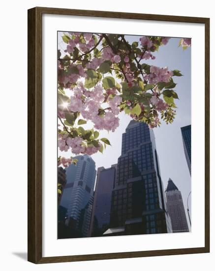 50th Street Looking West to 7th Avenue, New York City, New York-Adam Woolfitt-Framed Photographic Print